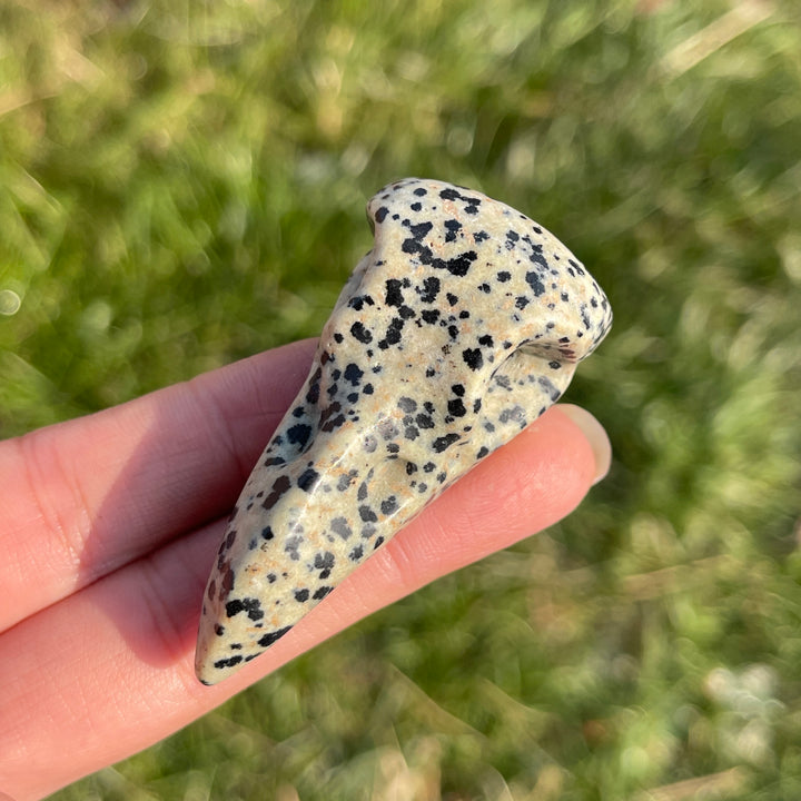Natural Dalmatian Jasper Crow Skull
