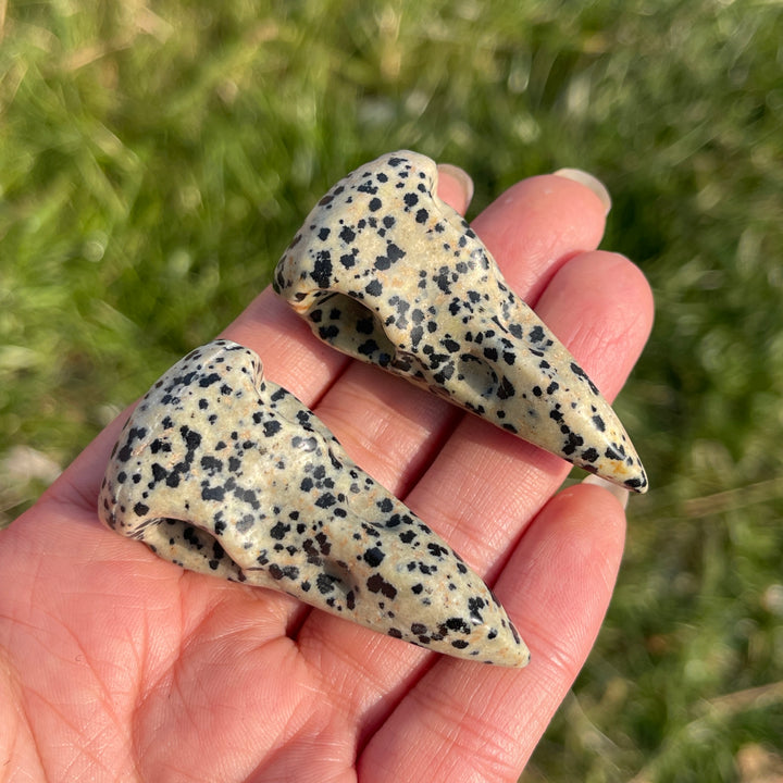 Natural Dalmatian Jasper Crow Skull