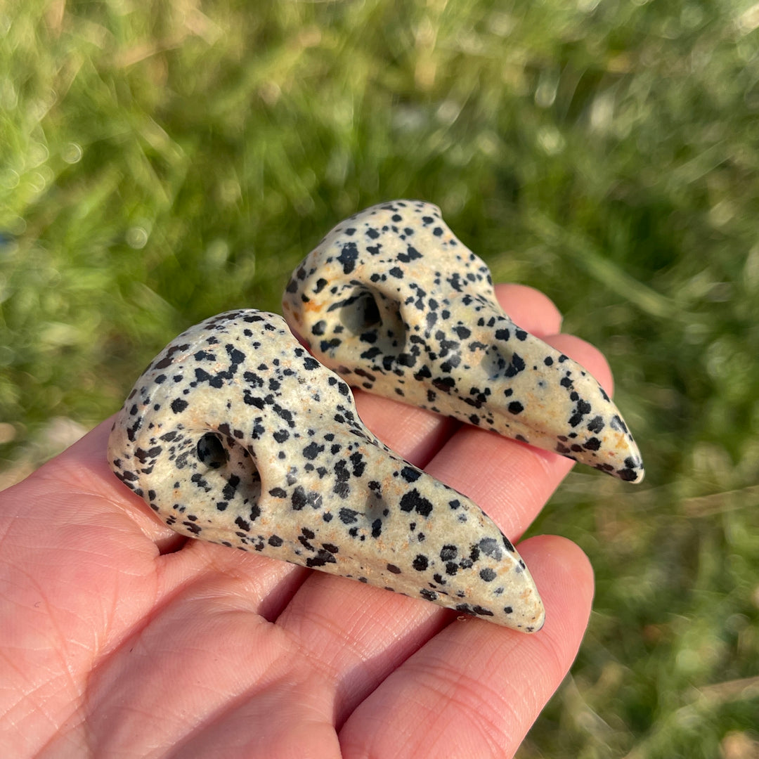 Natural Dalmatian Jasper Crow Skull