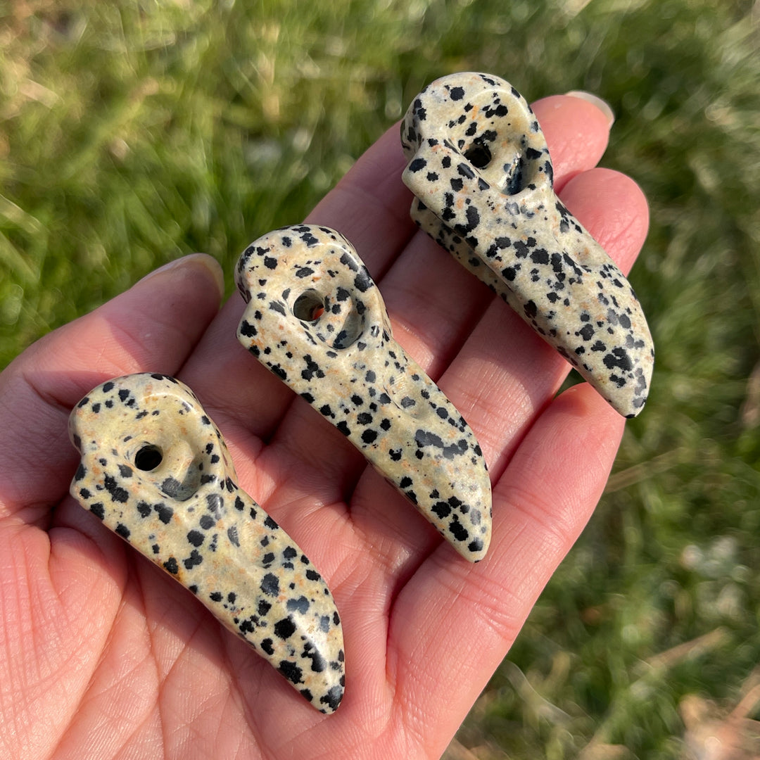 Natural Dalmatian Jasper Crow Skull