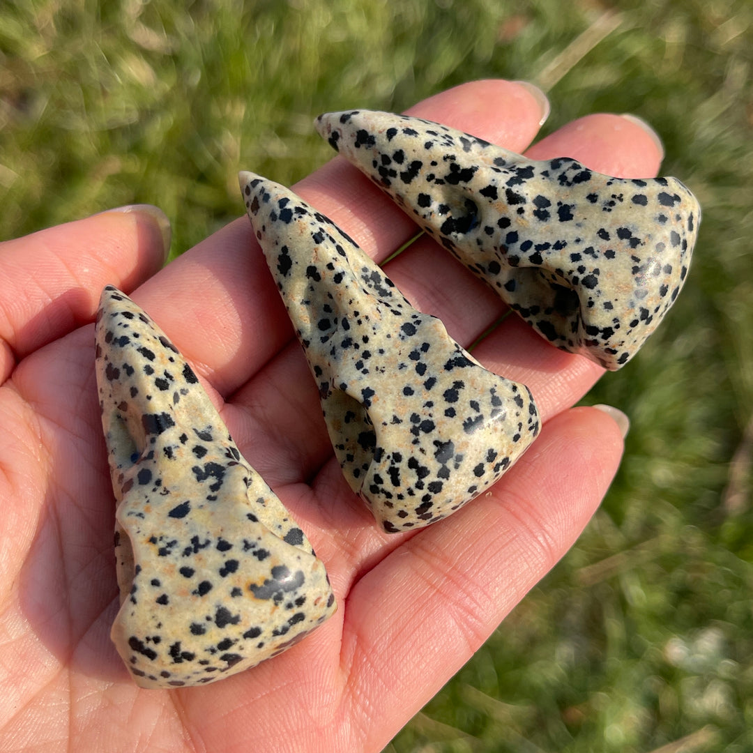 Natural Dalmatian Jasper Crow Skull