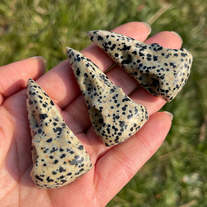 Natural Dalmatian Jasper Crow Skull