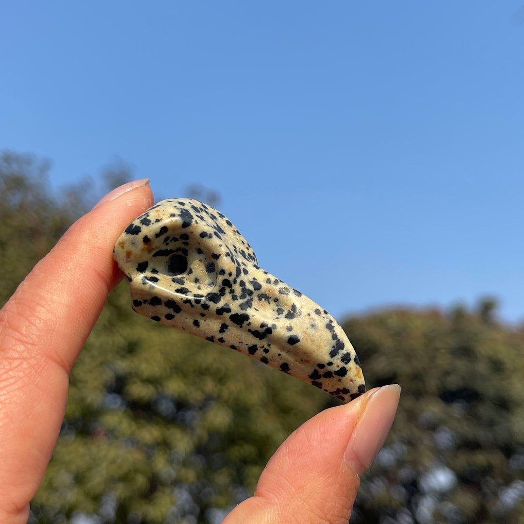 Natural Dalmatian Jasper Crow Skull