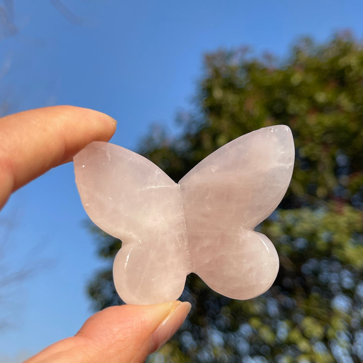 Natural Crystal Carving 3D Butterfly