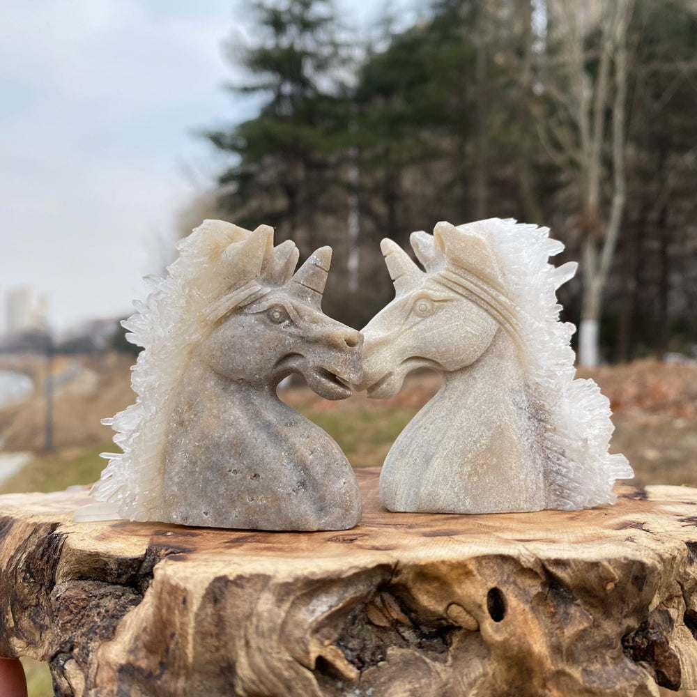 Unique,Natural Clear Quartz Cluster Unicorn