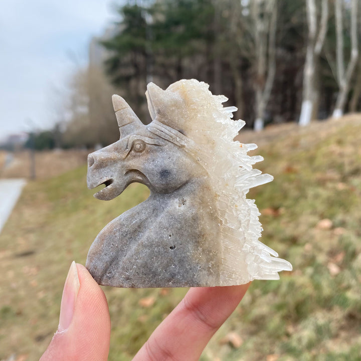 Unique,Natural Clear Quartz Cluster Unicorn