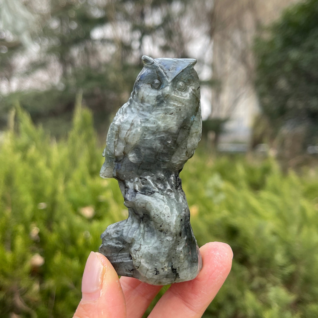 Natural Crystal Carving Owl On Tree Stump