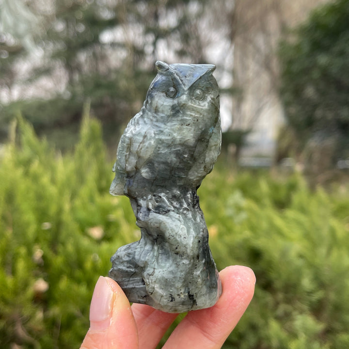 Natural Crystal Carving Owl On Tree Stump