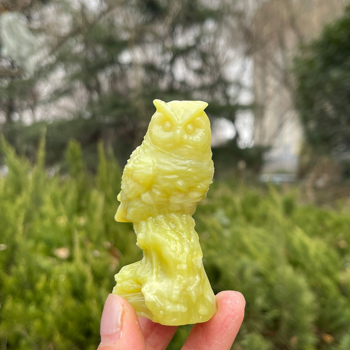 Natural Crystal Carving Owl On Tree Stump