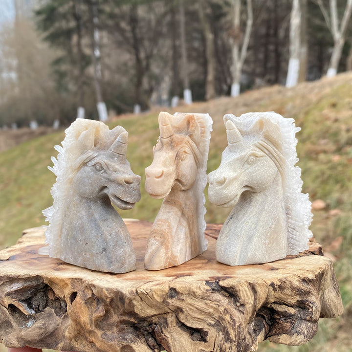 Unique,Natural Clear Quartz Cluster Unicorn