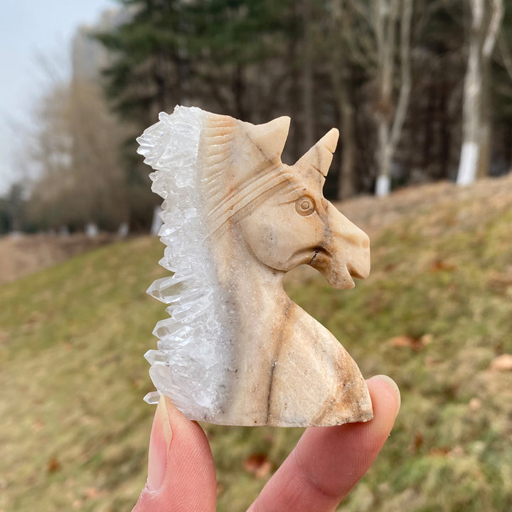 Unique,Natural Clear Quartz Cluster Unicorn