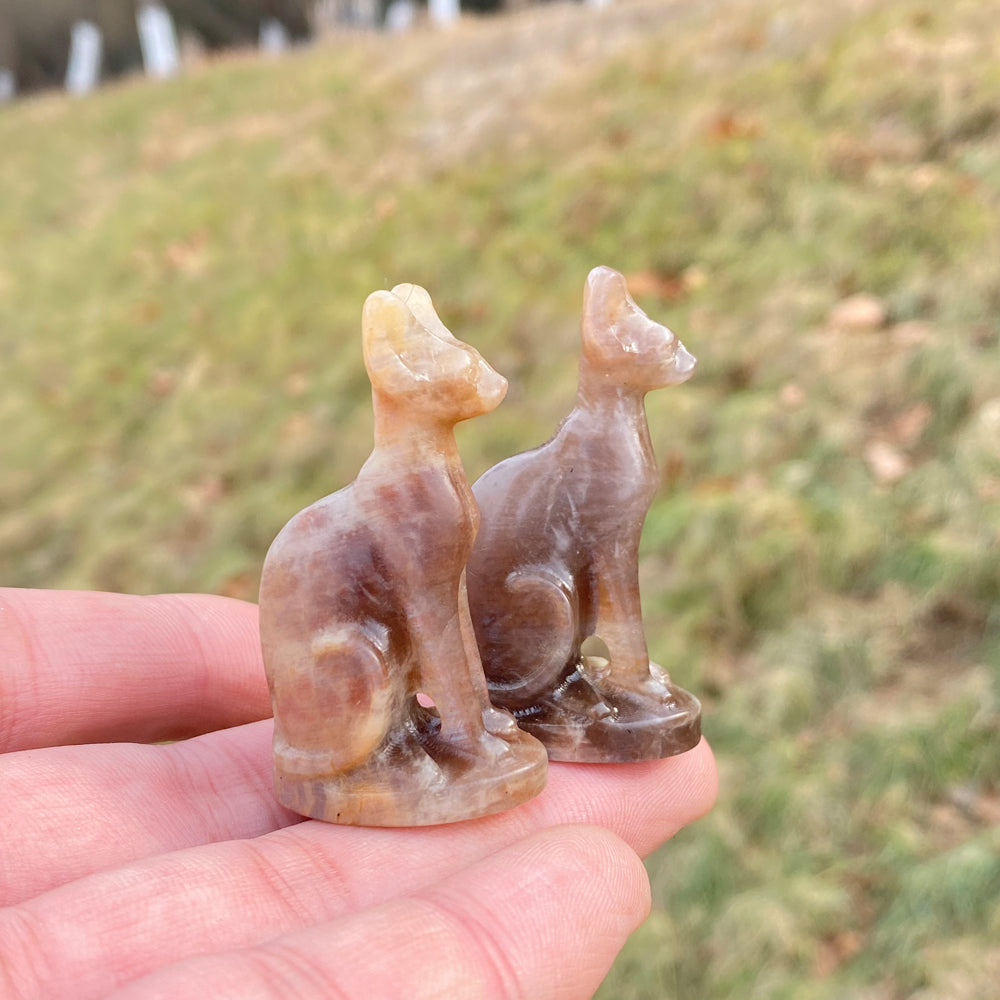 Moonstone Sphynx Cat