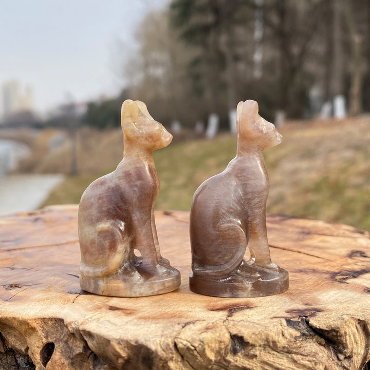 Moonstone Sphynx Cat