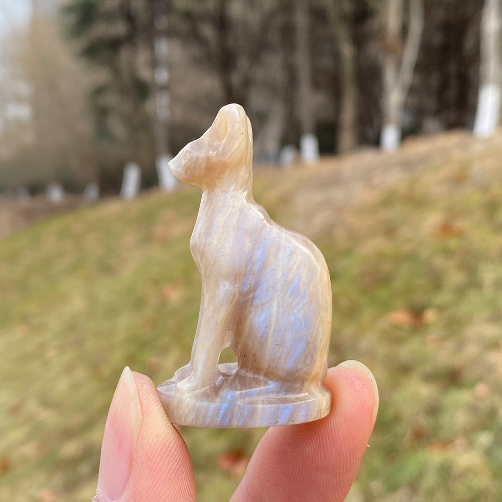 Moonstone Sphynx Cat