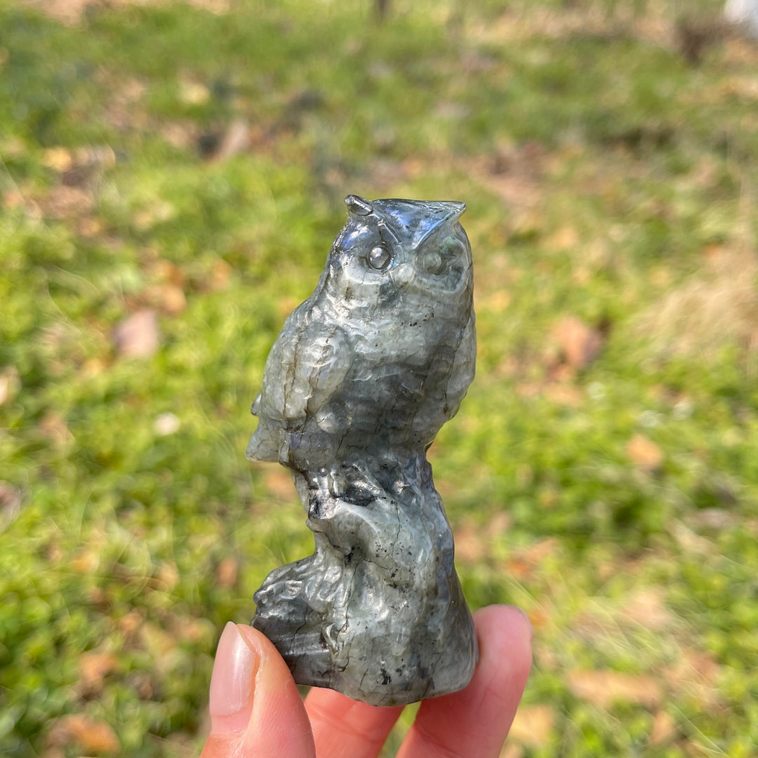 Natural Crystal Carving Owl On Tree Stump
