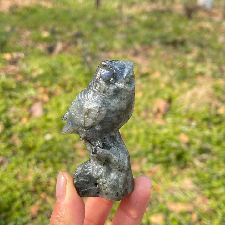 Natural Crystal Carving Owl On Tree Stump