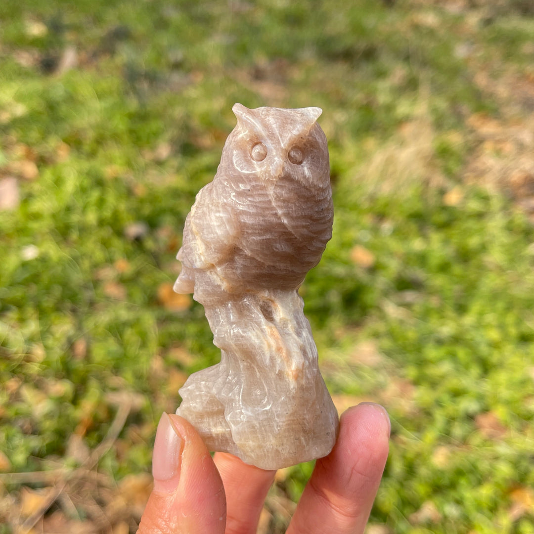 Natural Crystal Carving Owl On Tree Stump