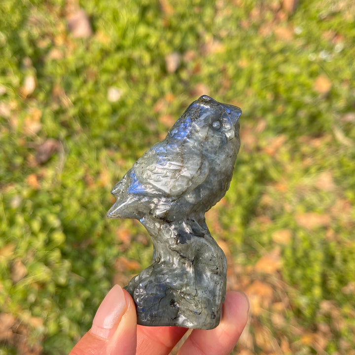 Natural Crystal Carving Owl On Tree Stump
