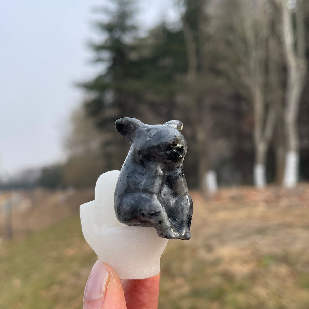 Natural Crystal Carved Toilet Pig