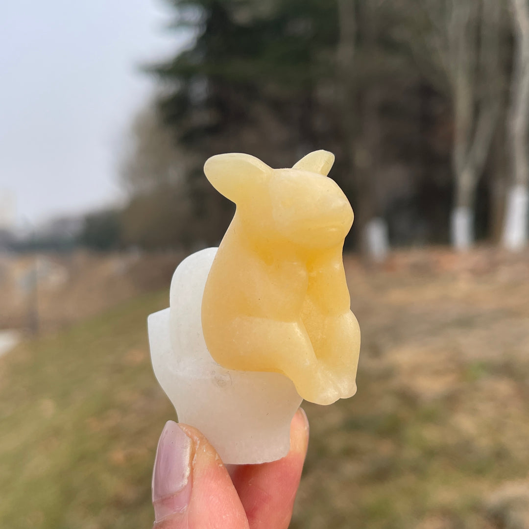 Natural Crystal Carved Toilet Pig