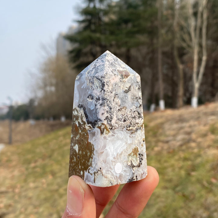 Natural Mexican Agate Geode Point