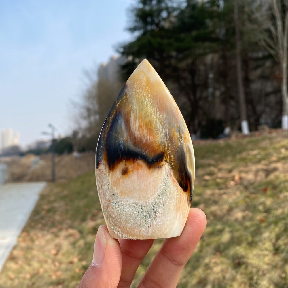 Natural Crystal Petrified Wood Teardrop