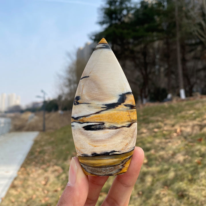 Natural Crystal Petrified Wood Teardrop