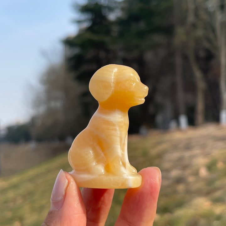 Natural Crystal Carving Labrador