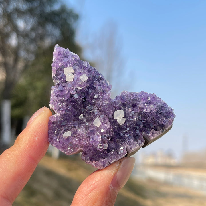 Natural Crystal Amethyst Cluster Butterfly