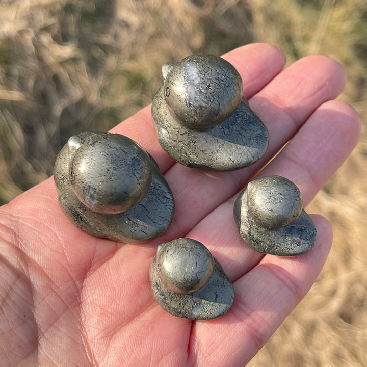 Pyrite Duck