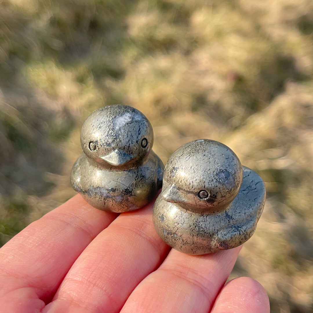 Pyrite Duck