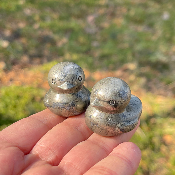 Pyrite Duck