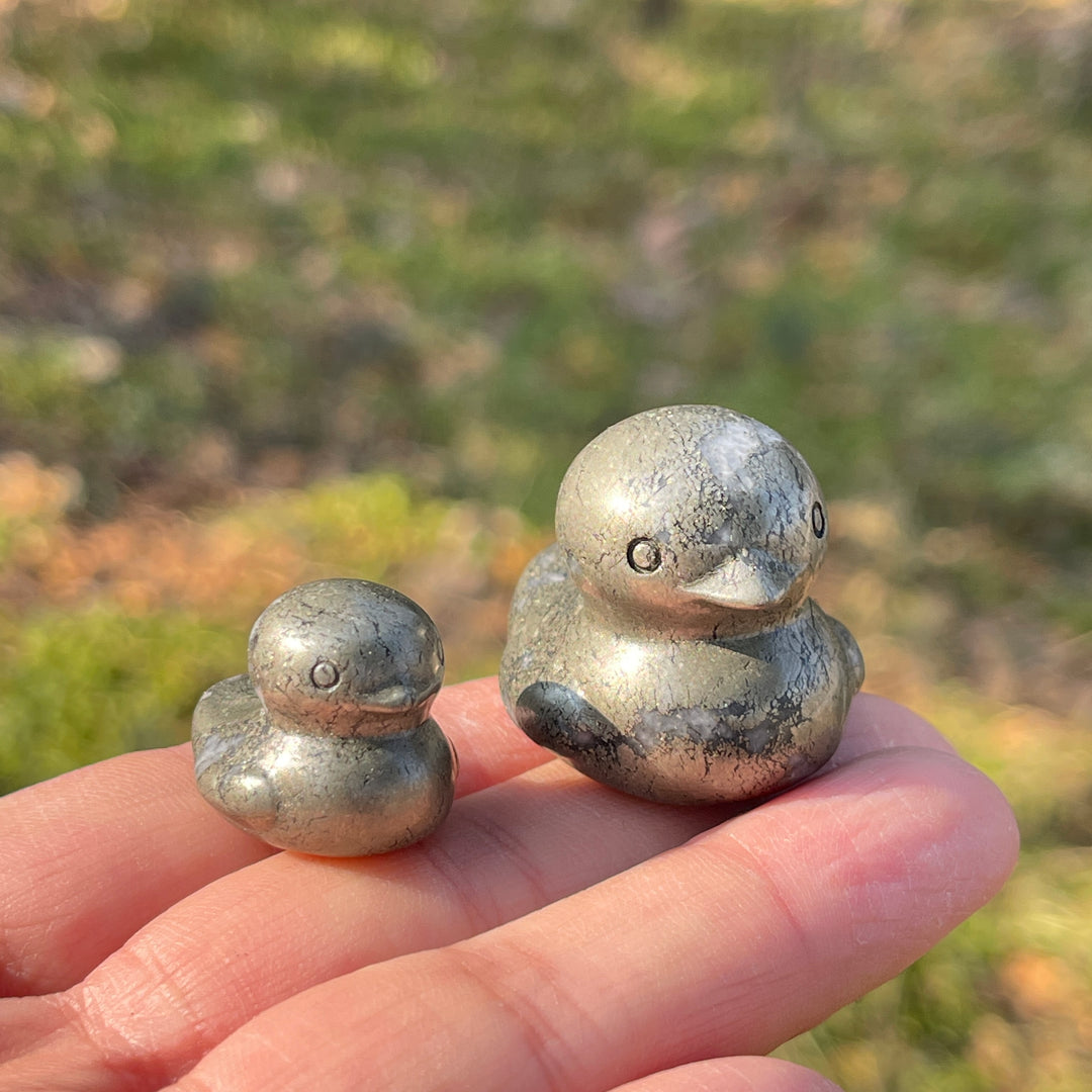 Pyrite Duck
