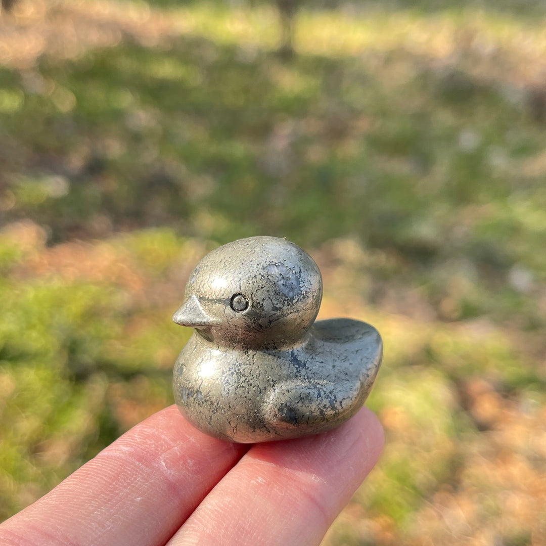 Pyrite Duck