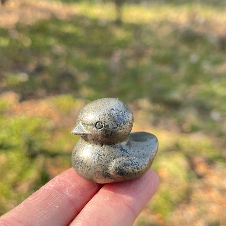 Pyrite Duck