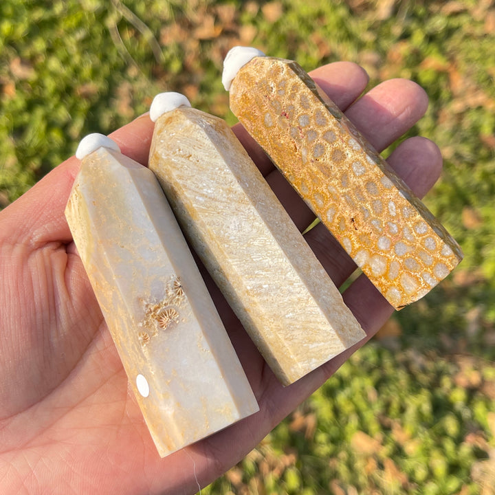 Imperfect,Natural Coral Fossil Point