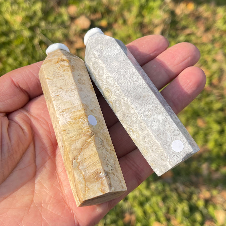 Imperfect,Natural Coral Fossil Point