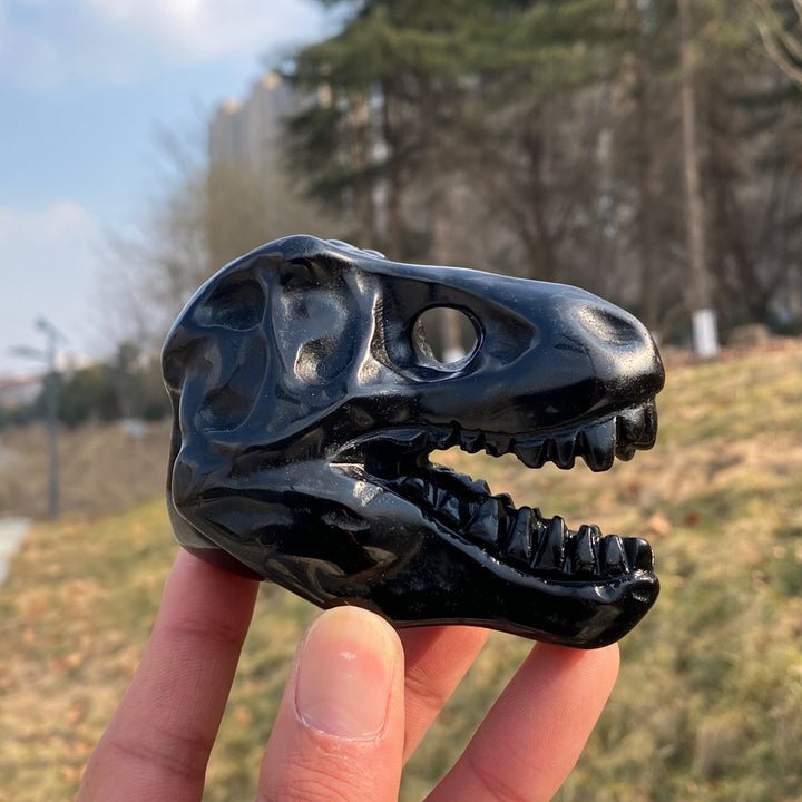 Natural Carved Obsidian Tyrannosaurus Rex Skull
