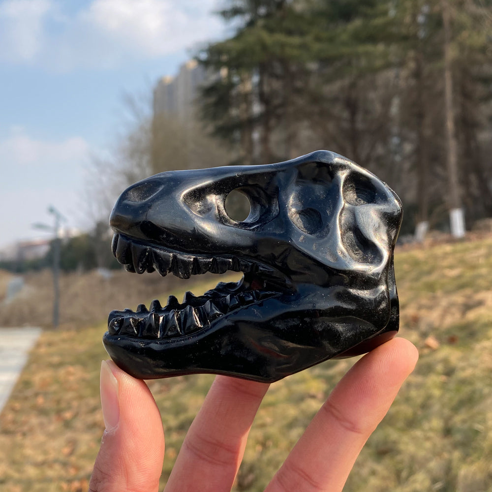 Natural Carved Obsidian Tyrannosaurus Rex Skull