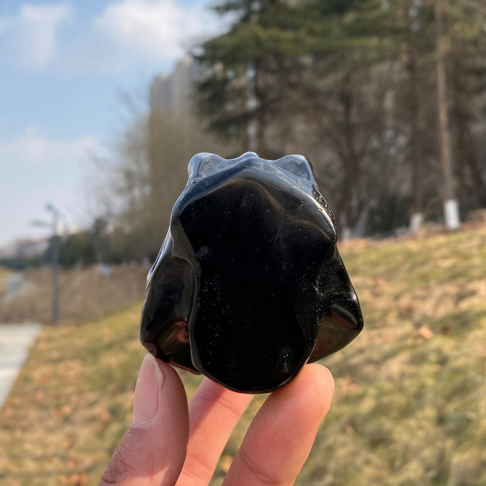 Natural Carved Obsidian Tyrannosaurus Rex Skull