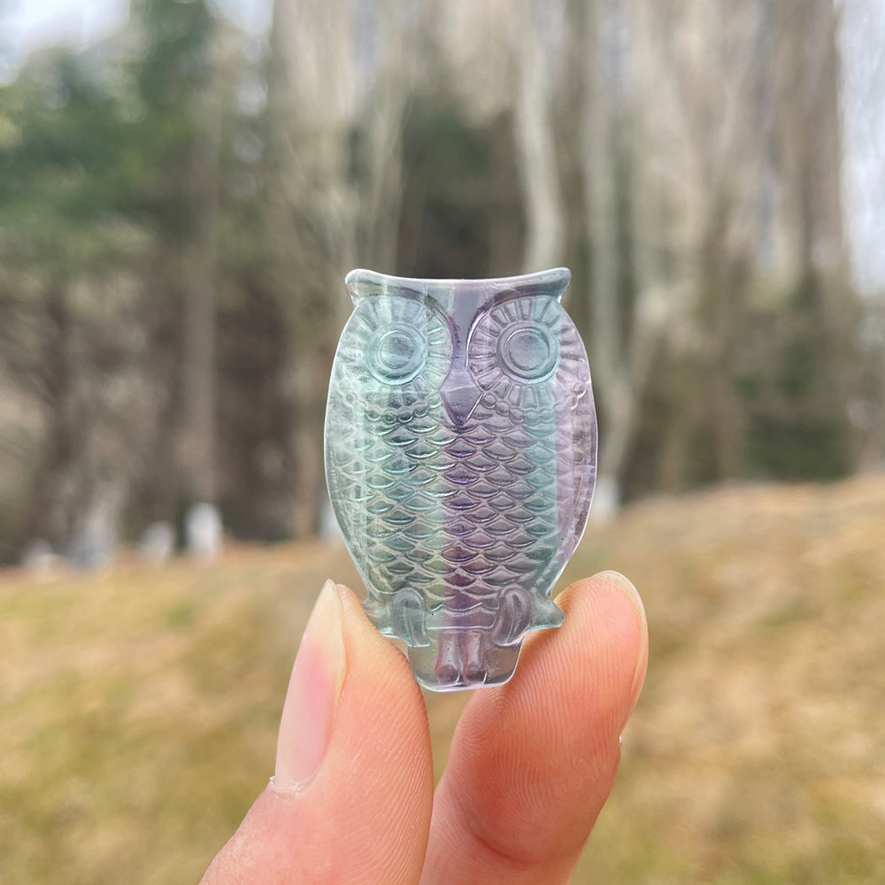 Natural Crystal Carving Owl