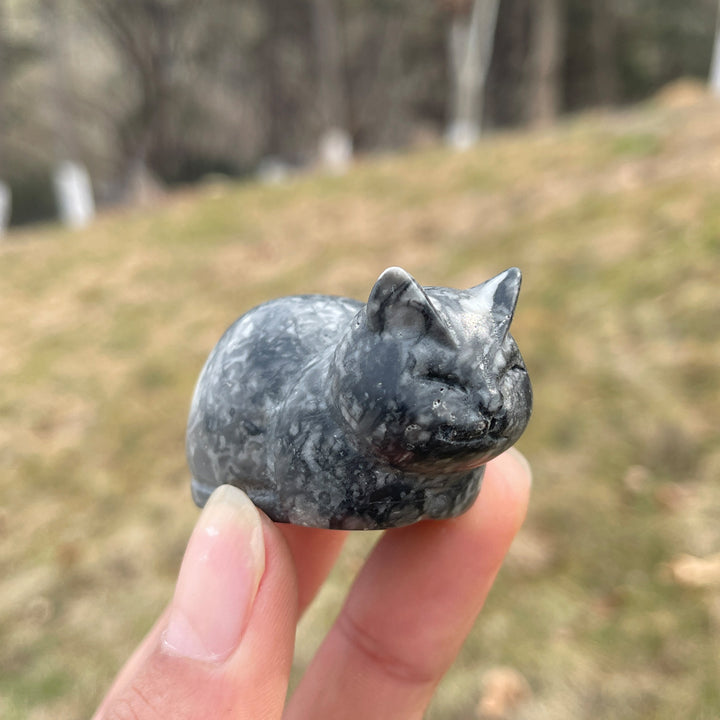 Natural Carving Loaf Cat