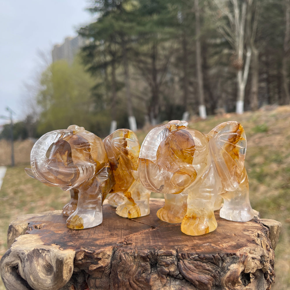 Unique,Natural Crystal Golden Healer Elephant