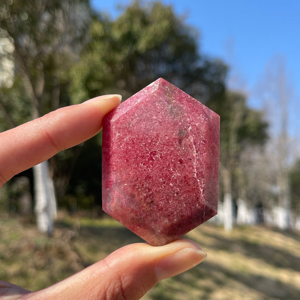 Natural Crystal Rhodonite In Quartz Shield
