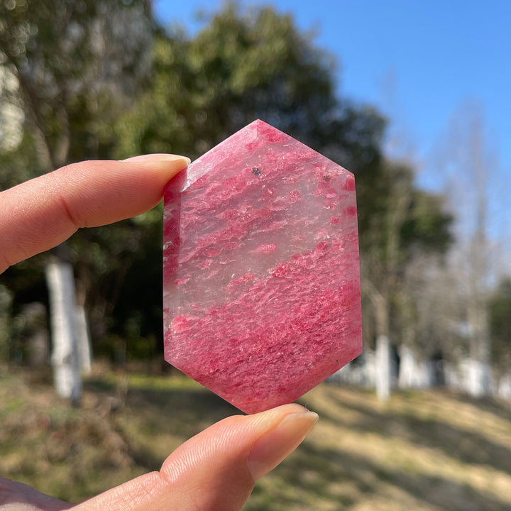 Natural Crystal Rhodonite In Quartz Shield