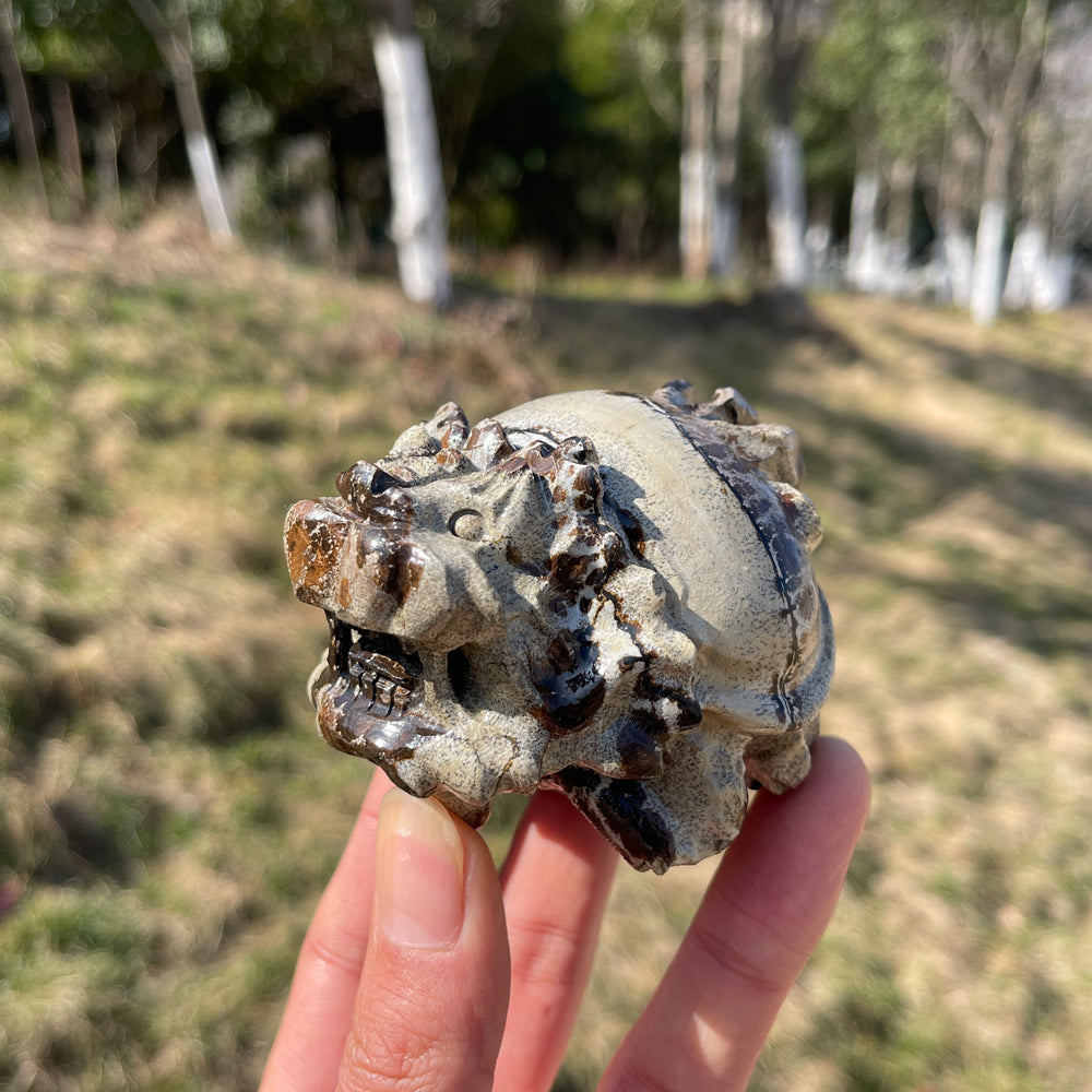 Natural Crystal Picture Jasper Dragon Turtle