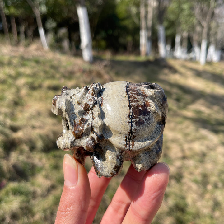 Natural Crystal Picture Jasper Dragon Turtle