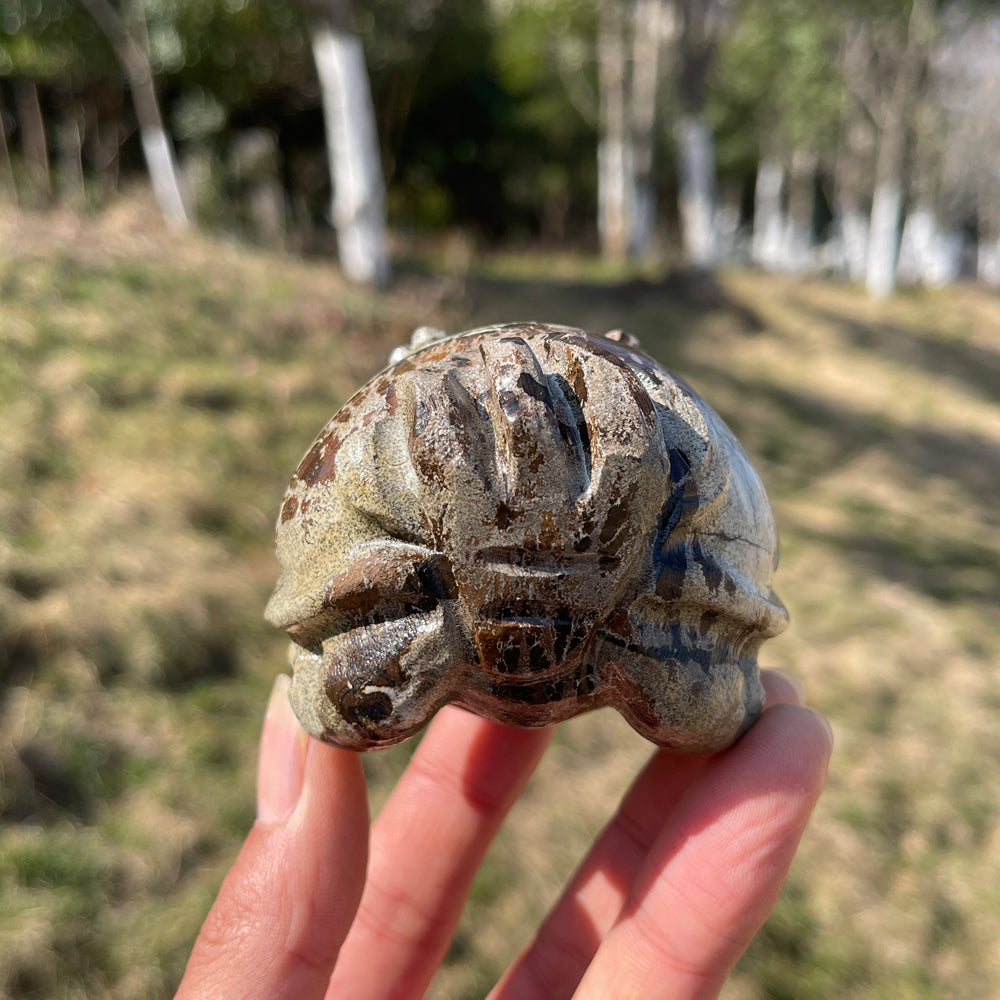 Natural Crystal Picture Jasper Dragon Turtle