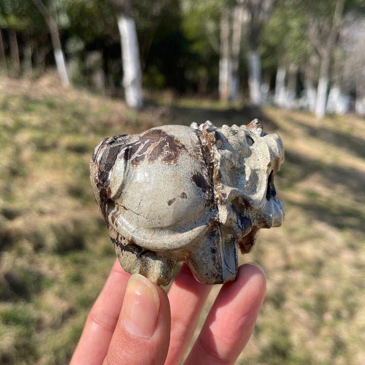 Natural Crystal Picture Jasper Dragon Turtle
