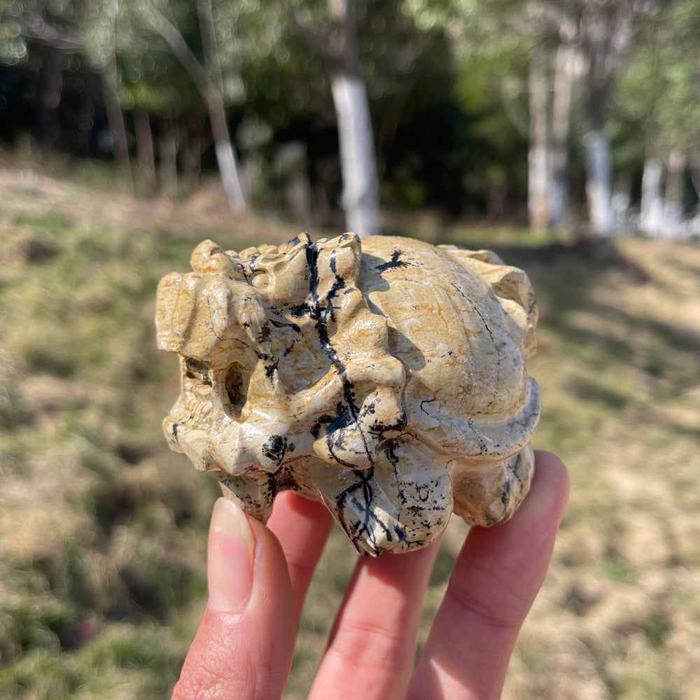 Natural Crystal Picture Jasper Dragon Turtle